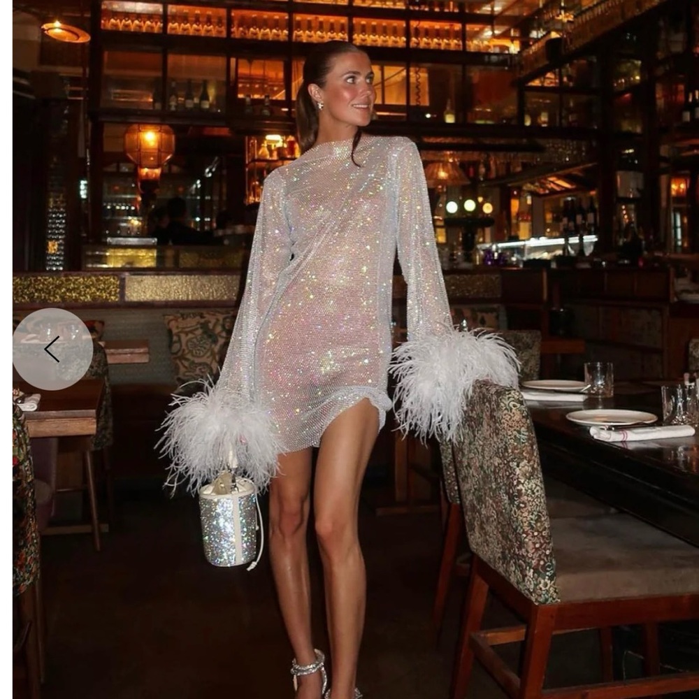 Santa Designer sparkling rhinestone dress with Feather Cuffs Exquisite statement - Picture 5 of 9